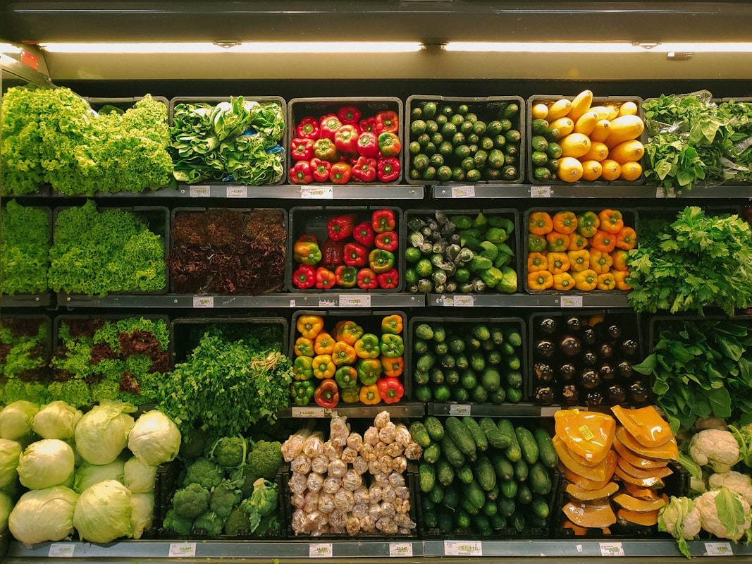 Nutritional needs across life stages
